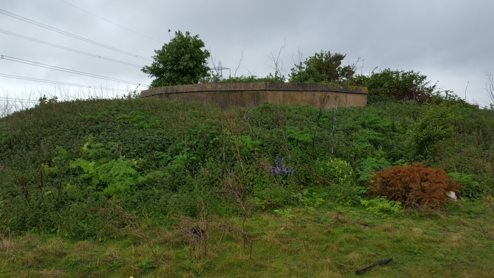 Gun Site